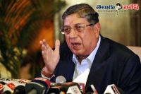 Srinivasan allegedly hired london firm to spy on bcci officials