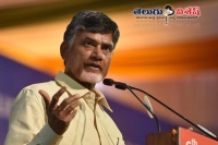 Ap cm chandrababu released sunrise andhra pradesh vision 2029 draft