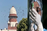 No judicial interference centre to supreme court on vaccine policy