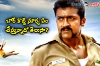 After singam 3 suriya to act in muthiah s direction