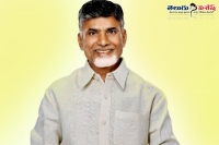 Temple for chandrababu naidu