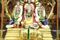 Tirumala brahmotsavam lord malayappa swamy taken in procession on kalpavruksha vahanam