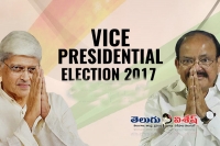 Vice president election india