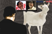 Who are the goats on the issues between the telangana and andhrapradesh