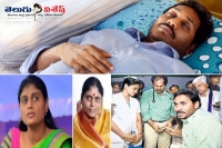 Ys jagan may go in coma doctors treatment hunger strike