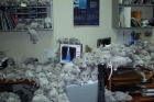 Bbmp spent 2 lakhs for trapping the 20 rats