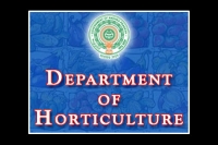 Andhra pradesh state horticulture department recruitment