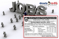 Andhra pradesh fishing corporation recruitment accountant store manager junior assistant peon
