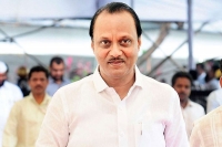 Ajit pawar only ncp mla supporting bjp party says 53 mlas with sharad pawar