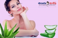 Aloe vera best home remedies skin problems suntan beauty tips