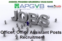 Ap grameena vikas bank jobs notification recruitment officers assistants jobs