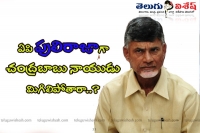 Ap am chandrababu naidu willbe puliraja for the state of ap