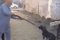 Army man shoots chained pet dog video goes viral on social media