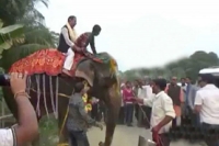 Assam deputy speaker falls during elephant ride