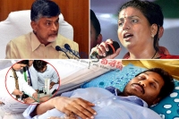 Ysrcp mla roja controversial comments chandrababu naidu special status jagan mohan reddy hunger strike
