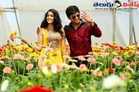 Bhale bhale magadivoy movie latest news