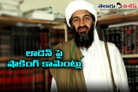 Boris johnson says bin laden addicted to pornography