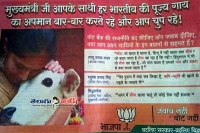 Bjp cow advertisement become controversy in bihar elections