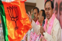Trs shock bjp plans to contest in maharashtra elections