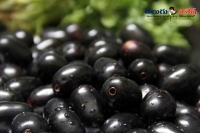 Black jamun health benefits home remedies healthy food items