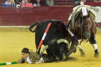 Bull revenge on female bullfighter