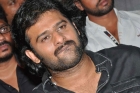 Prabhas on bahubali fake news updates