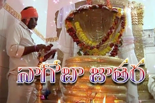 నాగోబా జాతర విశేషాలు