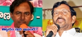 Political tdp leader somireddy fire on kcr