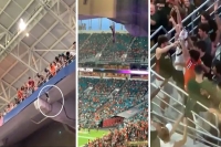 Fans at football game use american flag to catch falling cat