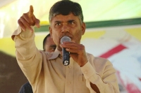 How tdp leaders are continuing in the party