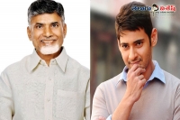 Ap cm praises on srimanthudu film