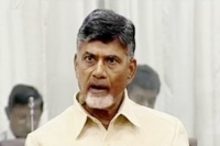 Y venkatramireddy comments on chandrababu doctorate