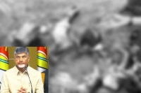 Tdp leader hacked to death in andhra pradesh s guntur district