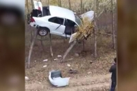 Speeding suv landsup on trees after accident in northeast china