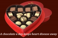 A chocolate a day keeps heart disease away