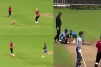 Best pitch invader ever dog runs away with ball during t20 match