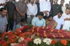 Iron leg roja won to jagan party loses in election 2014