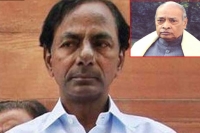 Pv narasimharao is also eligible for the bharat ratna says kcr