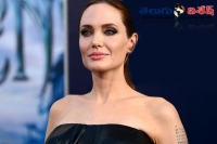 Angelina jolie crowned worlds top feminist icon