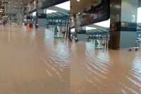Delhi airport turns into swimming pool as city records highest rainfall in 46 years