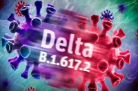 Delta variant cannot be ignored say experts