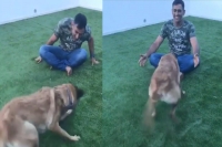 Ms dhoni s dog dances to his tune and sakshi dhoni posts this cute video