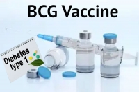 The bcg vaccine against covid 19 and other infectious diseases in type 1 diabetic adults