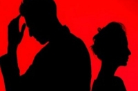 Woman calls hubby mota haathi delhi hc says its enough for divorce