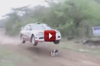 Dog miraculously escapes getting hit by rally car