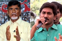 First phase crop loan waive from december 10 says chandrababu