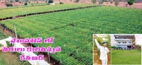Telangana news farmhouse profits to kcr