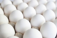 Egg price raises abruptly in telugu states