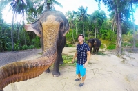 A rare elphie elephant takes selfie with vancouver man