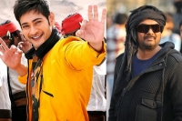 Mahesh babu next movie name rogue